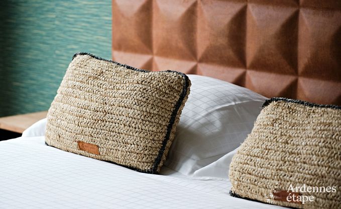 Ultramoderne villa in Somme-Leuze voor 12 personen met binnenzwembad, sauna en privtuin