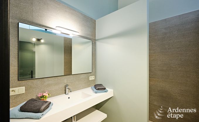 Ultramoderne villa in Somme-Leuze voor 12 personen met binnenzwembad, sauna en privtuin