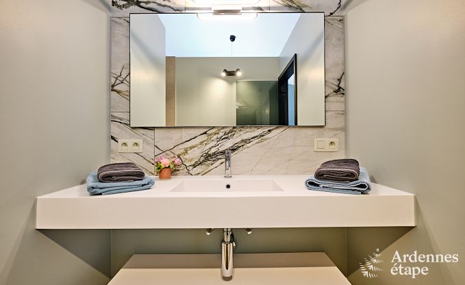 Ultramoderne villa in Somme-Leuze voor 12 personen met binnenzwembad, sauna en priv�tuin