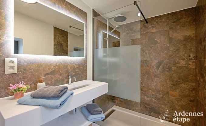 Ultramoderne villa in Somme-Leuze voor 12 personen met binnenzwembad, sauna en priv�tuin