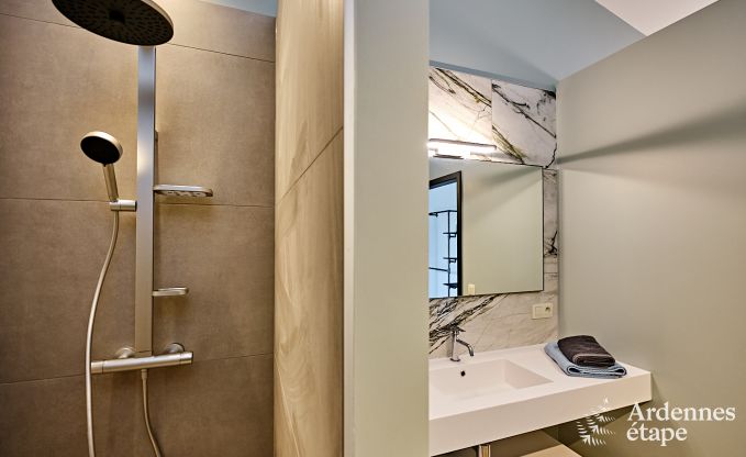 Ultramoderne villa in Somme-Leuze voor 12 personen met binnenzwembad, sauna en priv�tuin