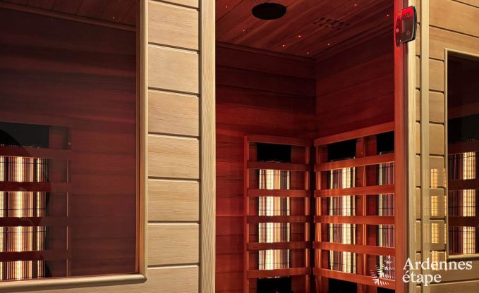 Ultramoderne villa in Somme-Leuze voor 12 personen met binnenzwembad, sauna en priv�tuin