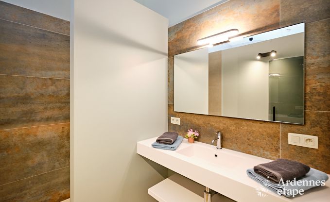 Ultramoderne villa in Somme-Leuze voor 12 personen met binnenzwembad, sauna en priv�tuin