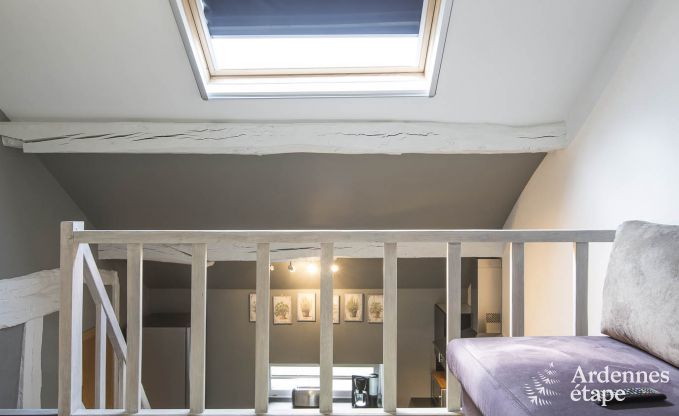 Vakantiehuis in Somme-Leuze voor 4/6 personen in de Ardennen