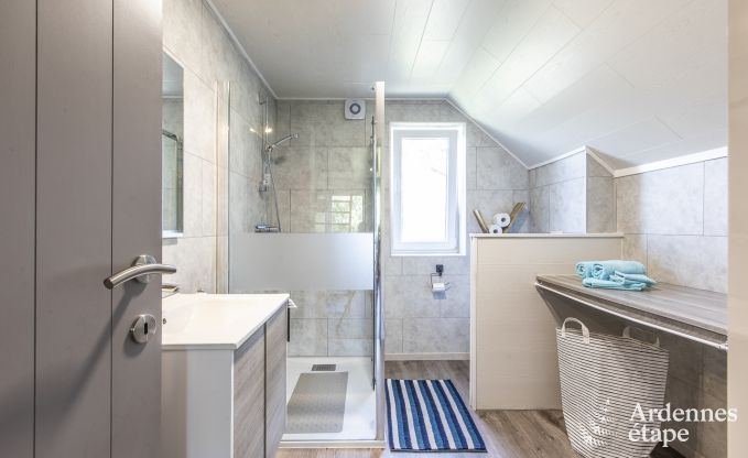 Vakantiehuis in Somme-Leuze voor 4/6 personen in de Ardennen