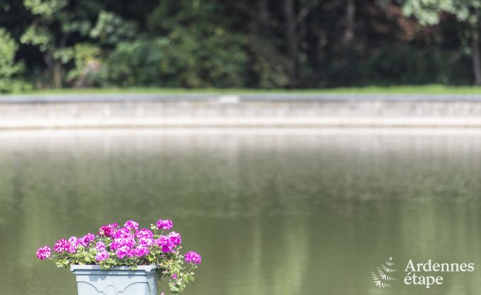Vakantiehuis in Somme-Leuze voor 6/7 personen in de Ardennen