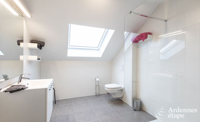 Vakantiehuis in Somme-Leuze voor 12 personen in de Ardennen