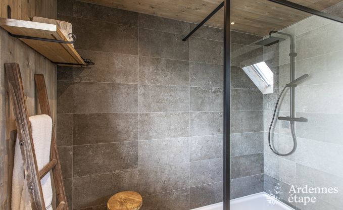 Vakantiehuis in Somme-Leuze voor 9 personen in de Ardennen