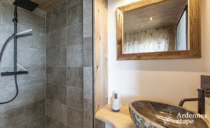 Vakantiehuis in Somme-Leuze voor 9 personen in de Ardennen