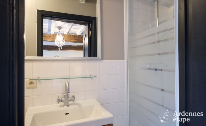 Gezellig vakantiehuis met 3 slaapkamers in Somme-Leuze, Ardennen