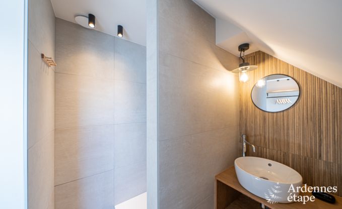 Vakantiewoning met moderne voorzieningen in Somme-Leuze, Ardennen