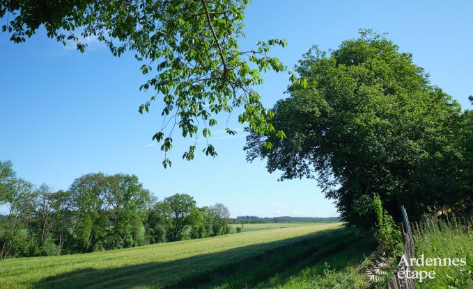 Comfortabel en luxueus nieuwbouw vakantiehuis in Somme-Leuze, Ardennen