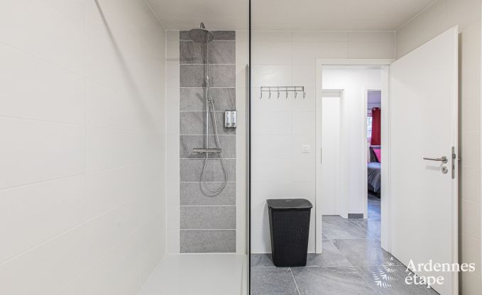 Vakantiehuis in Somme-Leuze voor 12 personen in de Ardennen