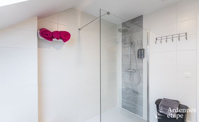 Vakantiehuis in Somme-Leuze voor 12 personen in de Ardennen