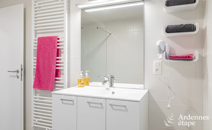 Vakantiehuis in Somme-Leuze voor 12 personen in de Ardennen