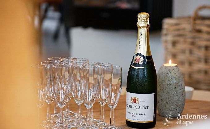 Ultramoderne villa in Somme-Leuze voor 12 personen met binnenzwembad, sauna en privtuin