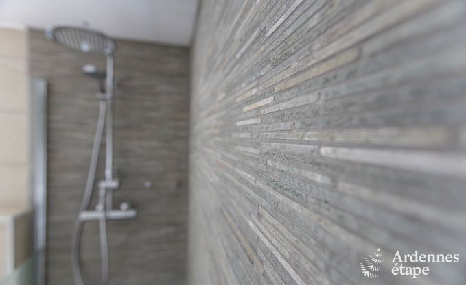 Vakantiehuis in Somme-Leuze voor 4/6 personen in de Ardennen