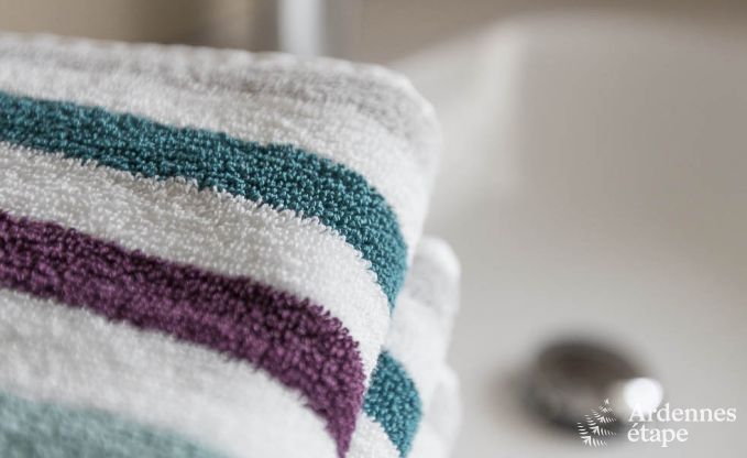 Vakantiehuis in Somme-Leuze voor 4/6 personen in de Ardennen