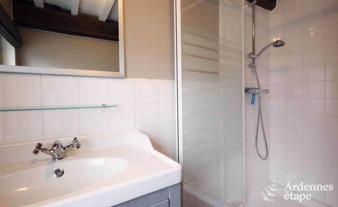 Gezellig vakantiehuis met 3 slaapkamers in Somme-Leuze, Ardennen