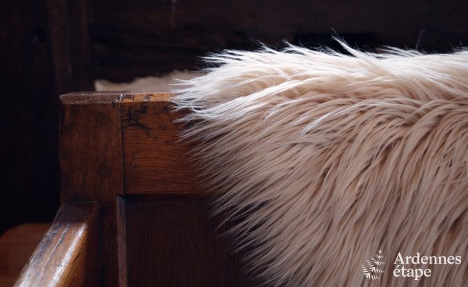 Gezellig vakantiehuis met 3 slaapkamers in Somme-Leuze, Ardennen