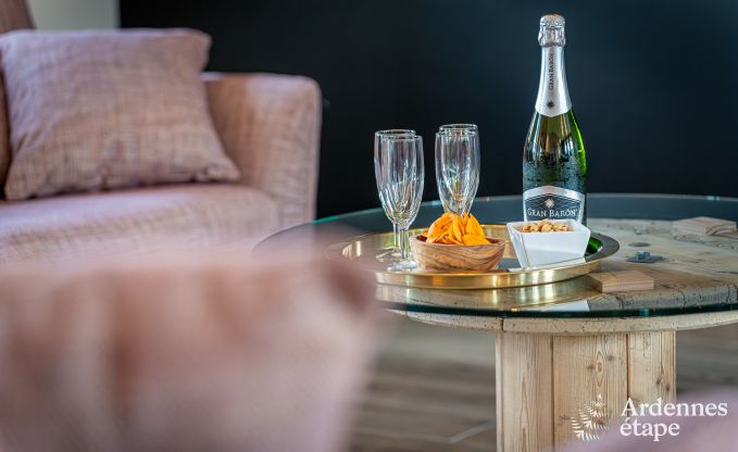 Vakantiewoning met moderne voorzieningen in Somme-Leuze, Ardennen