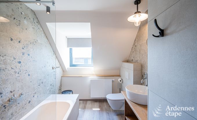 Vakantiewoning met moderne voorzieningen in Somme-Leuze, Ardennen