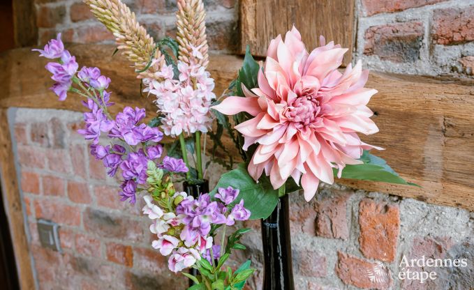 Vakantiehuis in Somme-Leuze voor 4 personen in de Ardennen