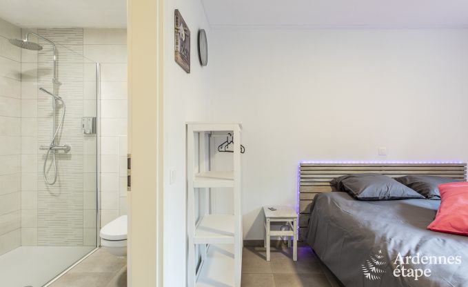 Vakantiehuis in Somme-Leuze voor 20 personen in de Ardennen