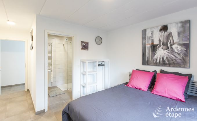 Vakantiehuis in Somme-Leuze voor 20 personen in de Ardennen