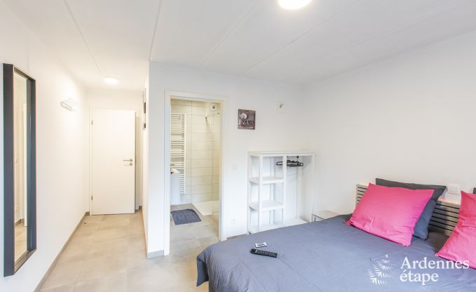 Vakantiehuis in Somme-Leuze voor 20 personen in de Ardennen