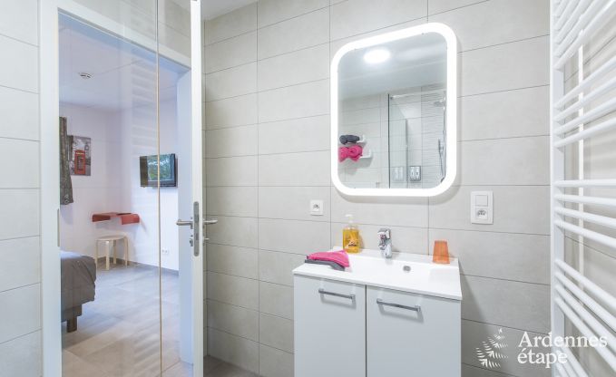 Vakantiehuis in Somme-Leuze voor 20 personen in de Ardennen