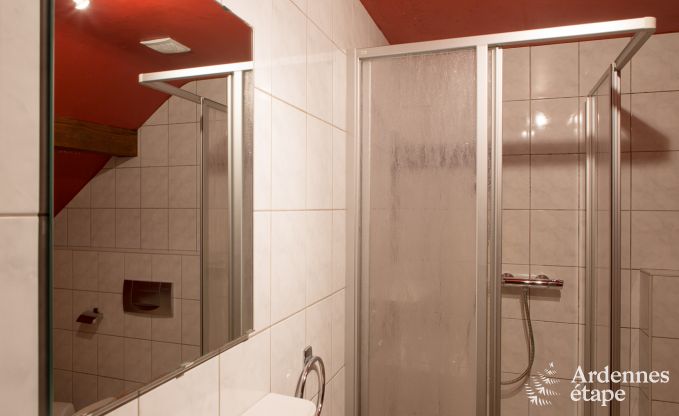 Vakantiehuis in Sourbrodt voor 12 personen in de Ardennen