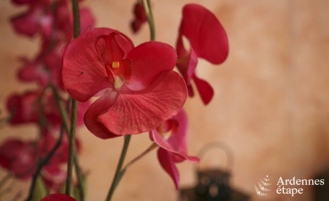 Chalet in Sourbrodt voor 11 personen in de Ardennen