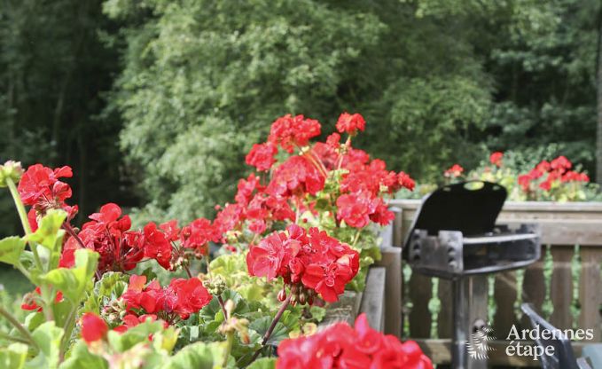 Chalet in Sourbrodt voor 11 personen in de Ardennen