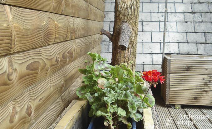 Chalet in Sourbrodt voor 11 personen in de Ardennen