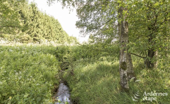 Chalet in Sourbrodt voor 12 personen in de Hoge Venen
