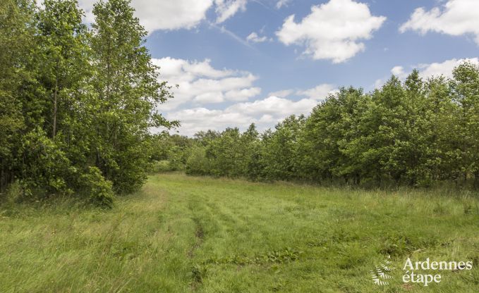 Chalet in Sourbrodt voor 12 personen in de Hoge Venen