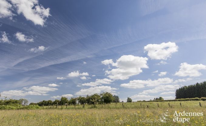 Chalet in Sourbrodt voor 12 personen in de Hoge Venen