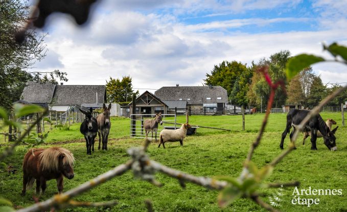 Vakantiehuis in Sourbrodt voor 6 personen in de Ardennen