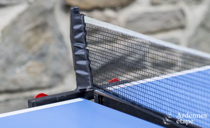 Chalet in Spa (Nivez�) voor 9 personen in de Ardennen