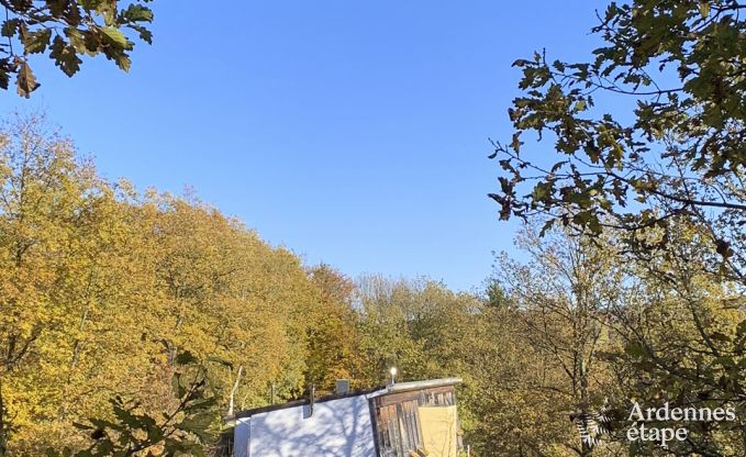 Buitengewoon in Spa voor 24 personen in de Ardennen