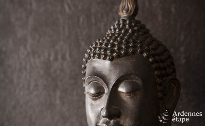 Kasteel in Spa voor 20 personen in de Ardennen