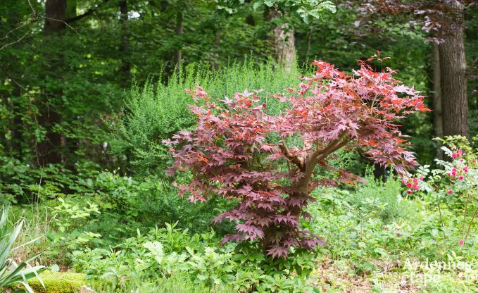 Comfortabele en luxueuze villa in Spa, Hoge Venen