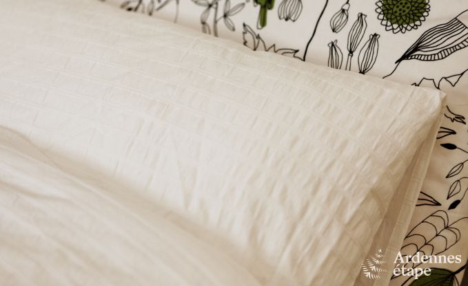 Luxe villa in Spa voor 9 personen in de Ardennen