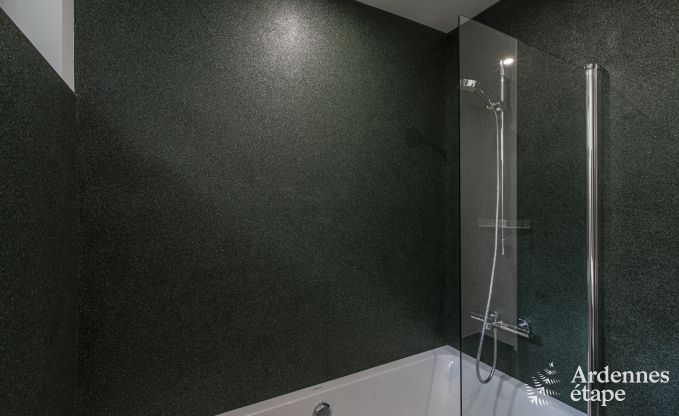 Luxe villa in Spa voor 10/12 personen in de Ardennen