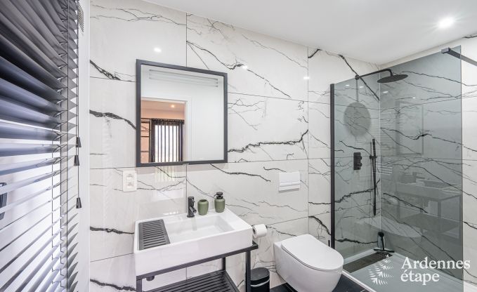 Luxeverblijf voor 10 personen met zwembad, jacuzzi, bij Spa en Francorchamps.