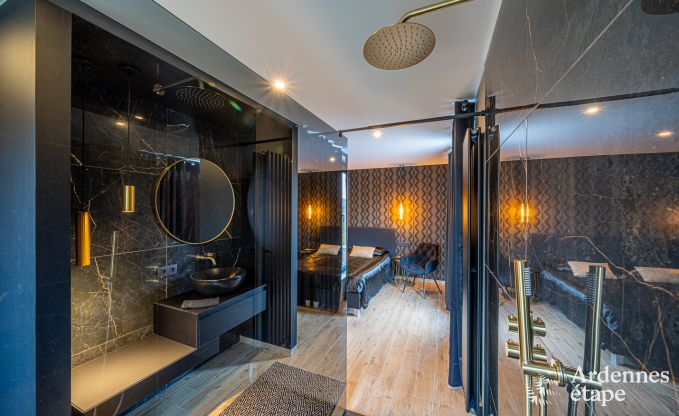 Luxeverblijf voor 10 personen met zwembad, jacuzzi, bij Spa en Francorchamps.