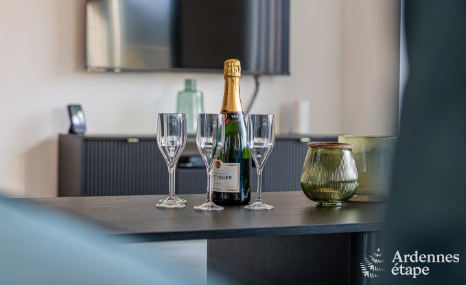 Luxeverblijf voor 10 personen met zwembad, jacuzzi, bij Spa en Francorchamps.