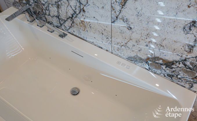 Luxeverblijf voor 10 personen met zwembad, jacuzzi, bij Spa en Francorchamps.