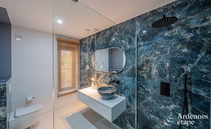 Luxeverblijf voor 10 personen met zwembad, jacuzzi, bij Spa en Francorchamps.